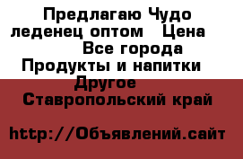 Предлагаю Чудо леденец оптом › Цена ­ 200 - Все города Продукты и напитки » Другое   . Ставропольский край